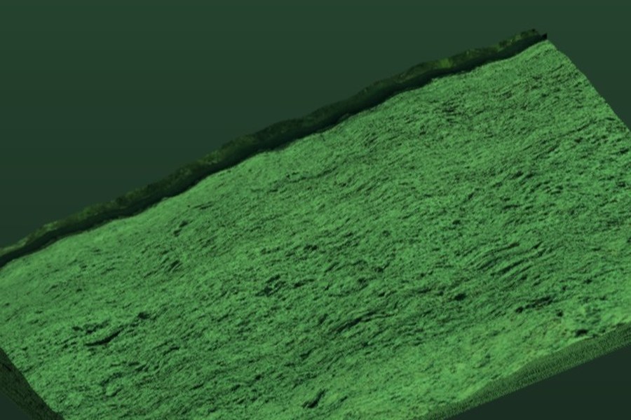 Freshly hydroseeded slope