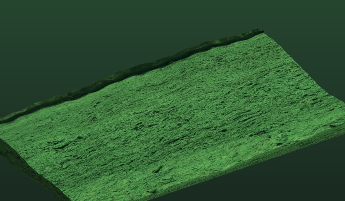Hydroseeded slope alongside a roadway in Southwest Louisiana